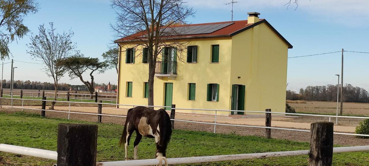 カオルレ Brussa Horse Oasiヴィラ エクステリア 写真