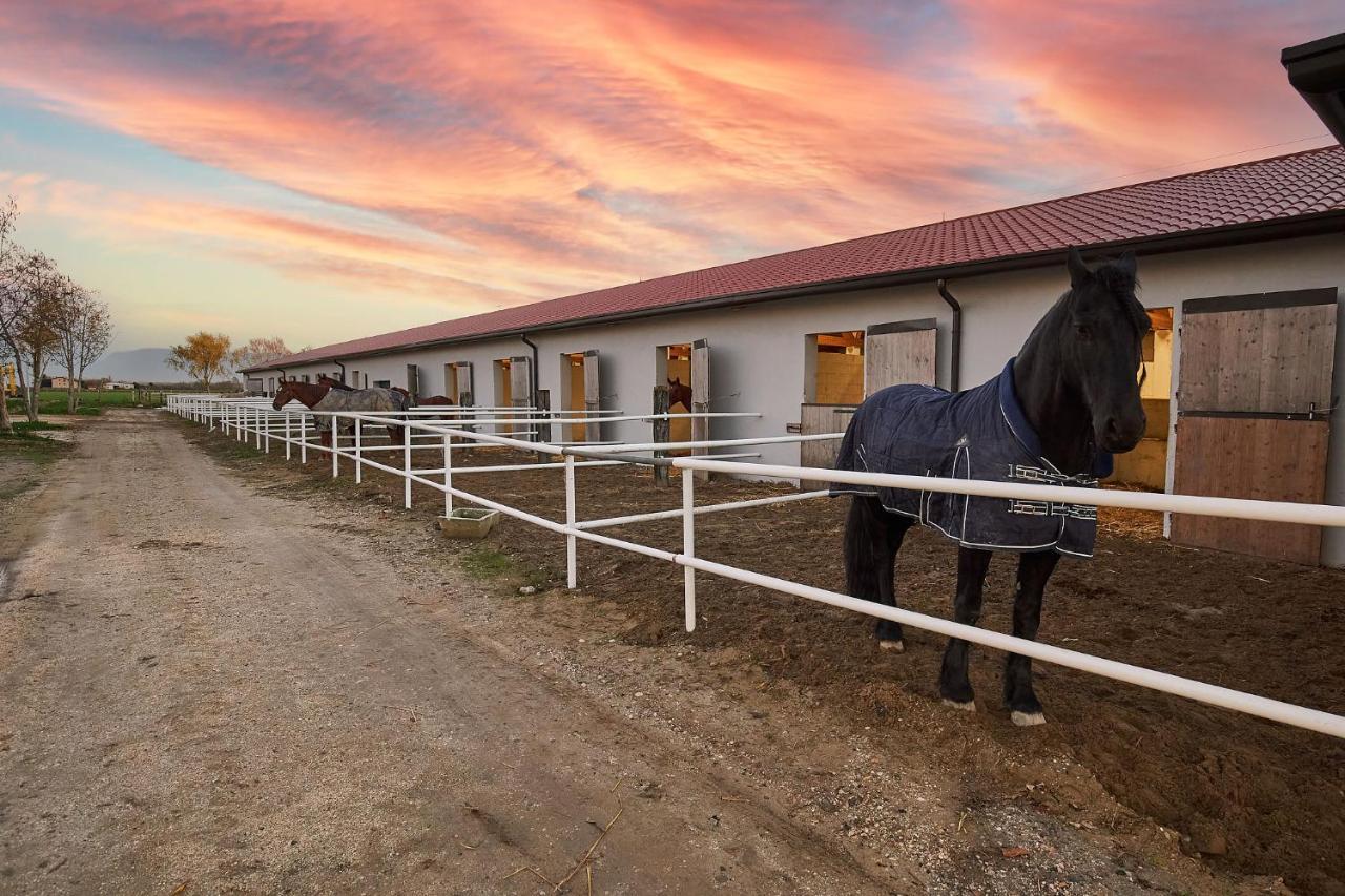 カオルレ Brussa Horse Oasiヴィラ エクステリア 写真