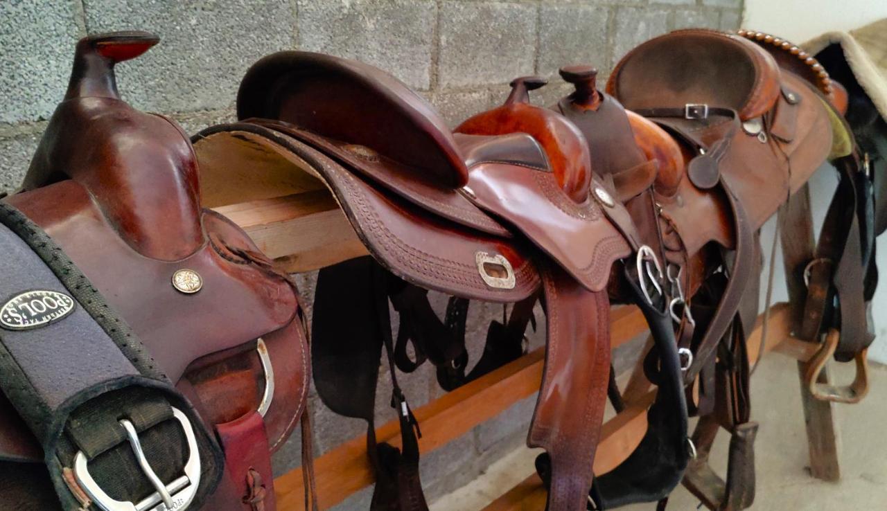 カオルレ Brussa Horse Oasiヴィラ エクステリア 写真